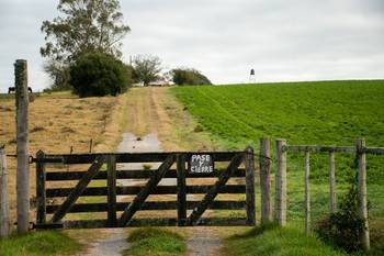 Archivo · Foto: Ignacio Dotti