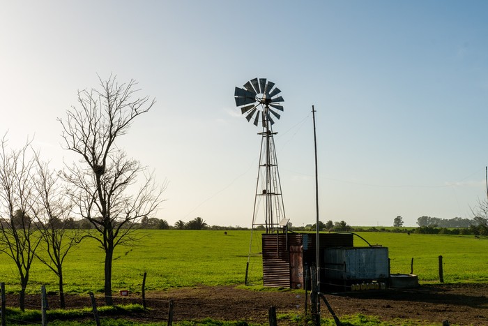 Campo en el departamento de Colonia (archivo). · Foto: Ignacio Dotti