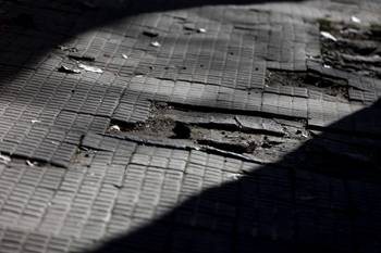 Foto: Camilo dos Santos (archivo).