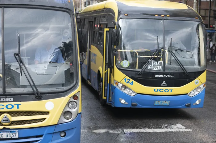 Movilizacion de trabajadores de UCOT (archivo, agosto de 2023). · Foto: Alessandro Maradei