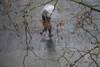 20230926 lluvia