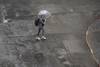 20231109 lluvia
