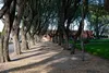 20260428 la paz colonia piamontesa