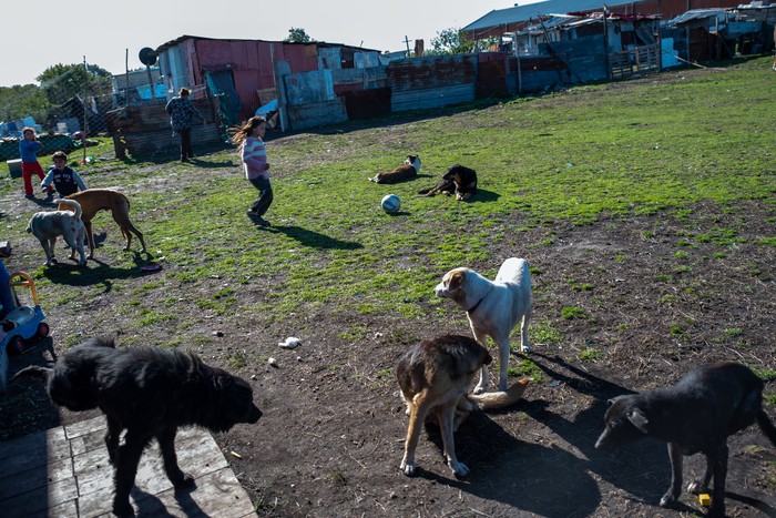 Foto principal del artículo 'Es verdadero que 6.000 niños al año nacen en hogares pobres' · Foto: Martín Varela Umpiérrez