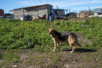 Asentamiento en Montevideo (archivo, setiembre de 2023). · Foto: Martín Varela Umpiérrez