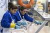 20230920 tra eco empleo