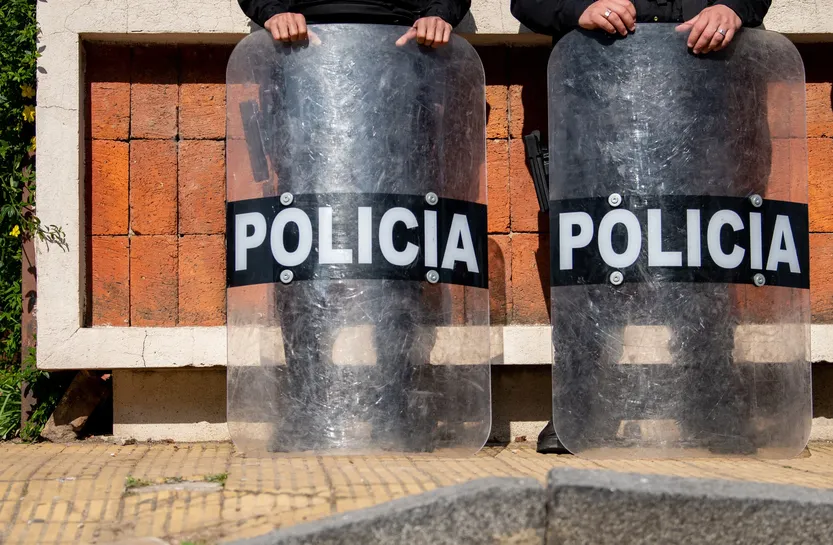 20260429 verifica falso