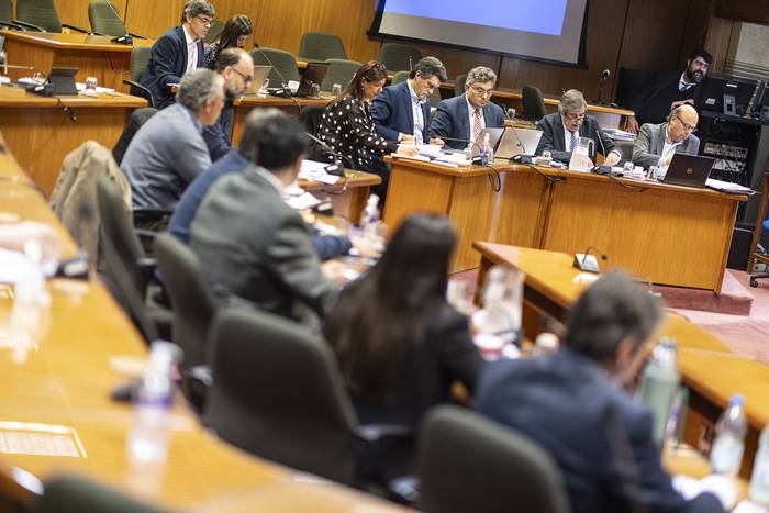 La Comisión del Trabajo de la Cámara de Diputados trata la reforma de la Caja de Profesionales, en el anexo del Palacio Legislativo. · Foto: Ernesto Ryan