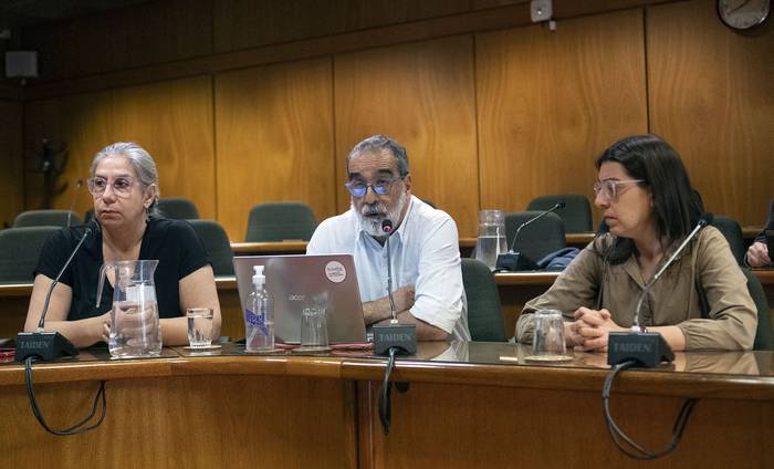 Zaida Arteta, José Minarrieta y Matilde Miralles, del SMU, en la Comisión de Trabajo y Seguridad Social del Parlamento (10.10.2023). · Foto: Alessandro Maradei
