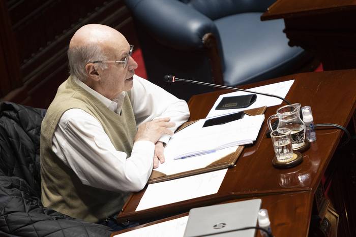 Enrique Rubio, este miércoles, en la sesión del Senado. · Foto: Camilo dos Santos