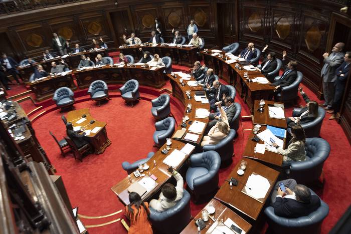 El Senado vota la expulsión de Gustavo Penadés (11.10.2023). · Foto: Camilo dos Santos