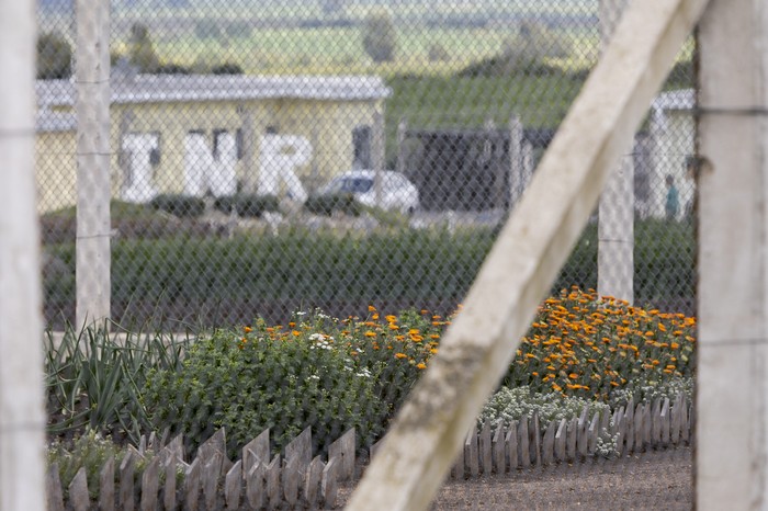 (archivo, octubre de 2023). · Foto: Camilo dos Santos