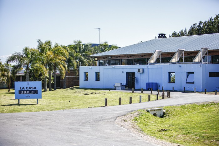 Complejo Uruguay Celeste (archivo, octubre de 2023). · Foto: Ernesto Ryan