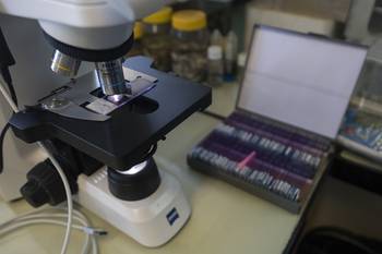 Archivo, octubre de 2023. · Foto: Alessandro Maradei