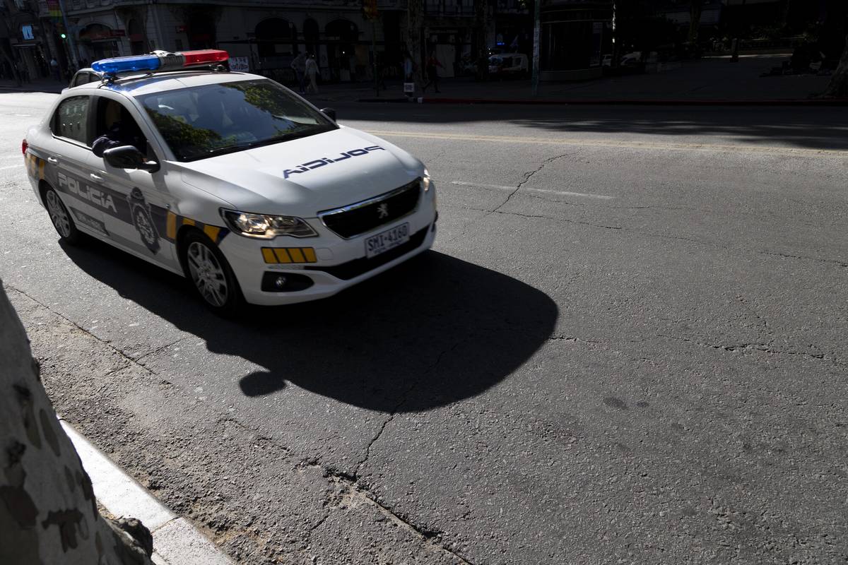 Un hombre ingresó a robar a varios apartamentos en Palermo y Barrio Sur y  violó a dos mujeres | la diaria | Uruguay