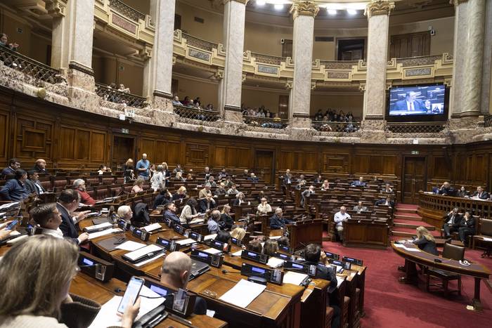 Cámara de Diputados, el 1 de noviembre de 2023. · Foto: Camilo dos Santos