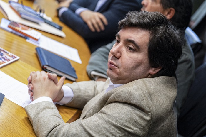 Pablo Viana, en el Parlamento. · Foto: Ernesto Ryan