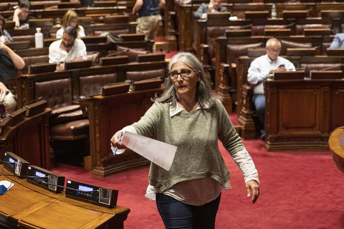 Lucía Etcheverry, este miércoles, en la Cámara de Diputados. · Foto: Alessandro Maradei