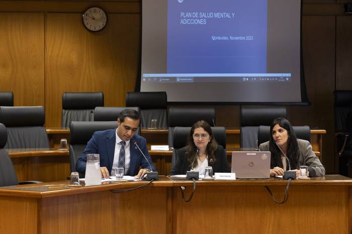 José Luis Satdjian, Karina Rando y Lorena Quintana en la comisión parlamentaria. · Foto: Ernesto Ryan