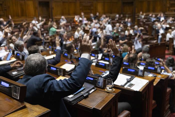 La Cámara de Diputados vota la ley de financiación de partidos políticos (28.11.2023). · Foto: Ernesto Ryan