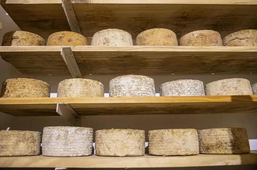 20260324 suple T P12-13F6