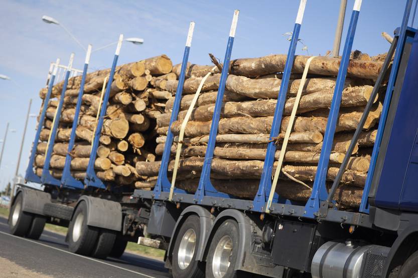 20251104 Productores Forestales