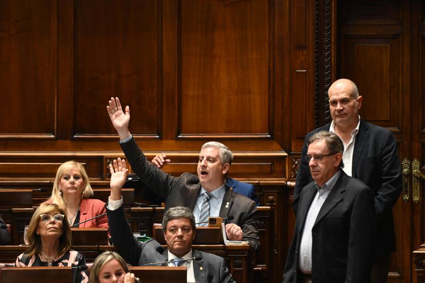 20231205 Diputados