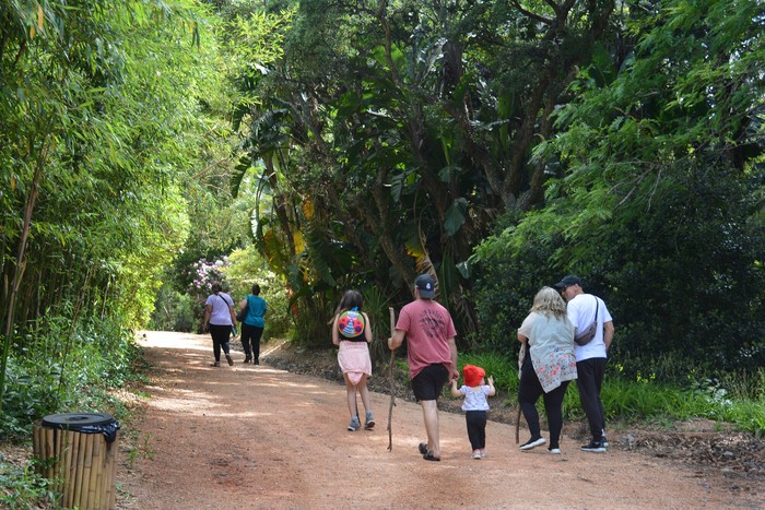 Arboretum Lussich (archivo, 2023). · Foto: Virginia Martínez  Díaz