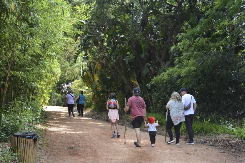 20260115 maldo colorados