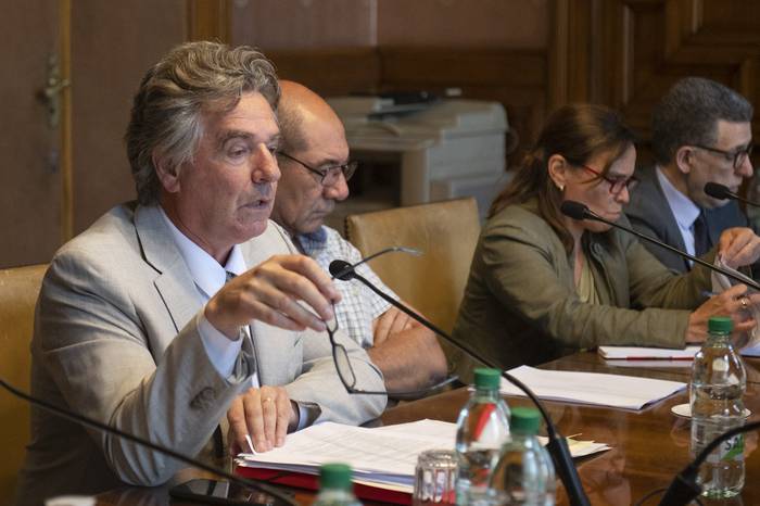 El subsecretario Gerardo Amarilla ante la Comisión de Ambiente del Senado. · Foto: Alessandro Maradei