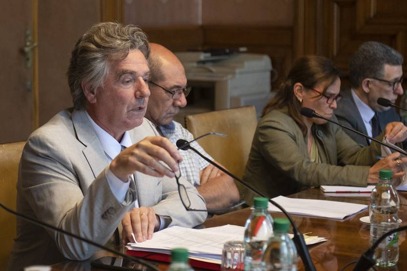20231212 amarilla senado