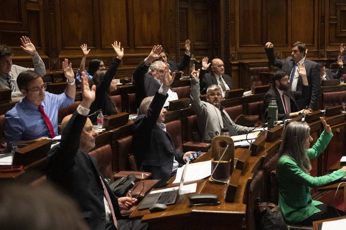 Votación en Cámara de Diputados, el 14 de diciembre. · Foto: Alessandro Maradei