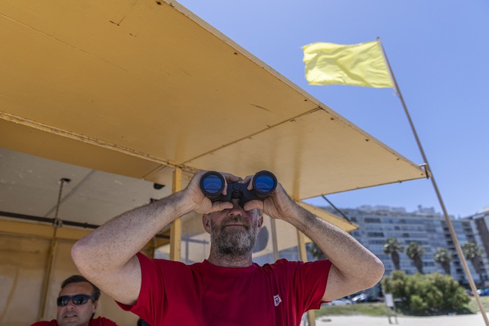 Servicio de Guardavidas en la playa Pocitos (archivo, enero de 2024). · Foto: Ernesto Ryan