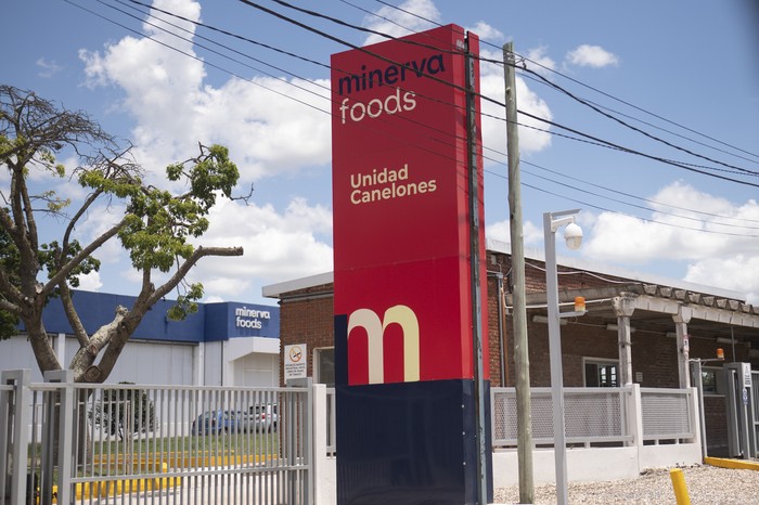 Frigorífico Minerva Foods, en Canelones (archivo). · Foto: Alessandro Maradei