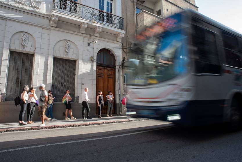 20260112 fiscalizacion solo bus