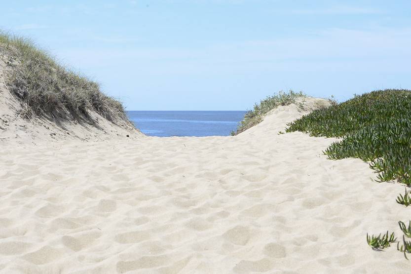 20250902 maldo buenos aires