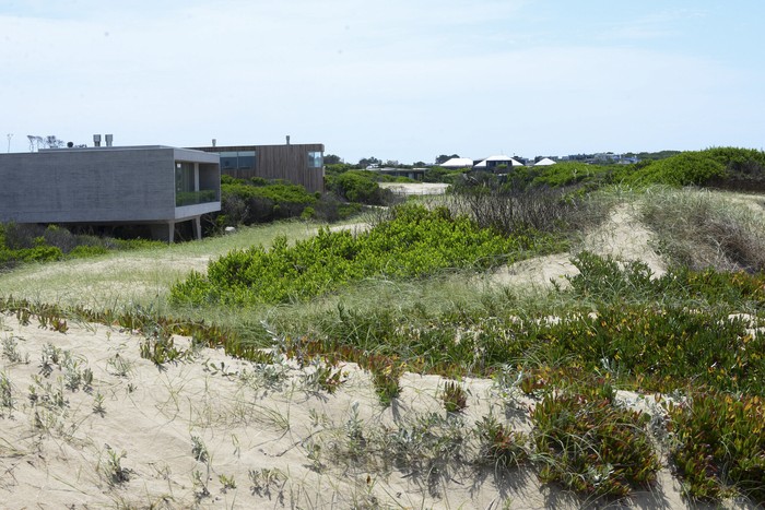 La Juanita, José Ignacio, Maldonado, faja costera del km 182 de la ruta 10, lugar donde proyectan construir un hotel. · Foto: Natalia Ayala