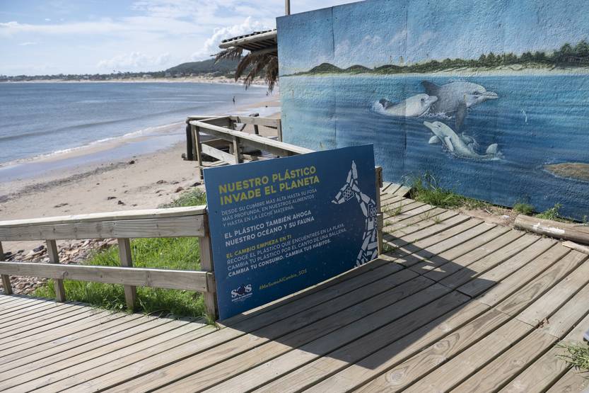 20250418 rescate fauna marina