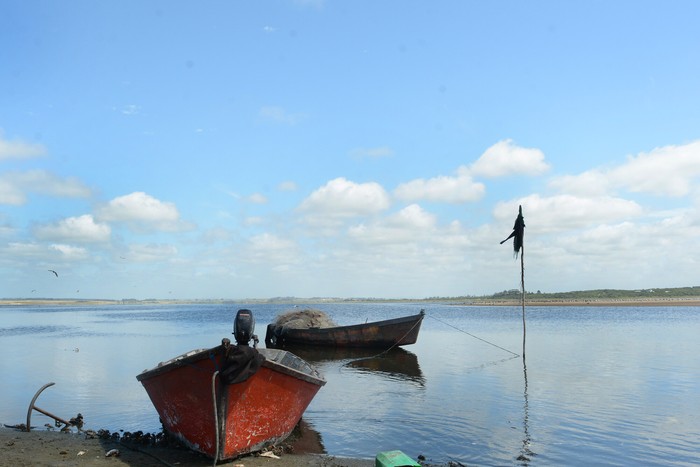 Laguna de José Ignacio (archivo, enero de 2024). · Foto: Virginia Martínez  Díaz