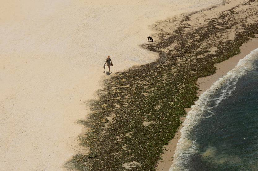 20250918 Maldonado José Ignacio