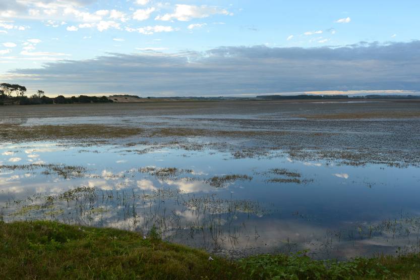 20251126 maldo laguna garzon