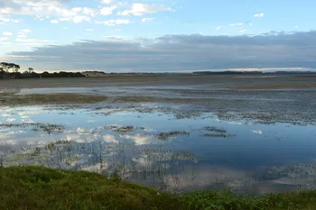 Laguna Garzón (archivo, enero de 2024). · Foto: Virginia Martínez  Díaz