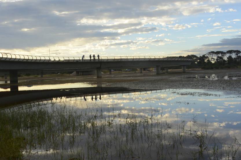 20260128 maldo laguna garzón