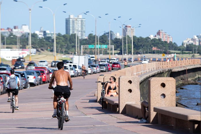 Rambla de Montevideo (archivo, febrero de 2024). · Foto: Rodrigo Viera Amaral