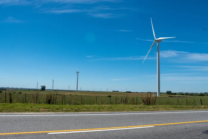 Molinos eólicos en un campo de Colonia, en ruta 22. (Archivo, febrero de 2024) · Foto: Ignacio Dotti