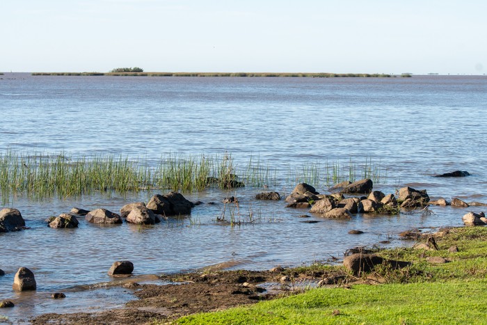 Costas de Martín Chico, Colonia. · Foto: Ignacio Dotti