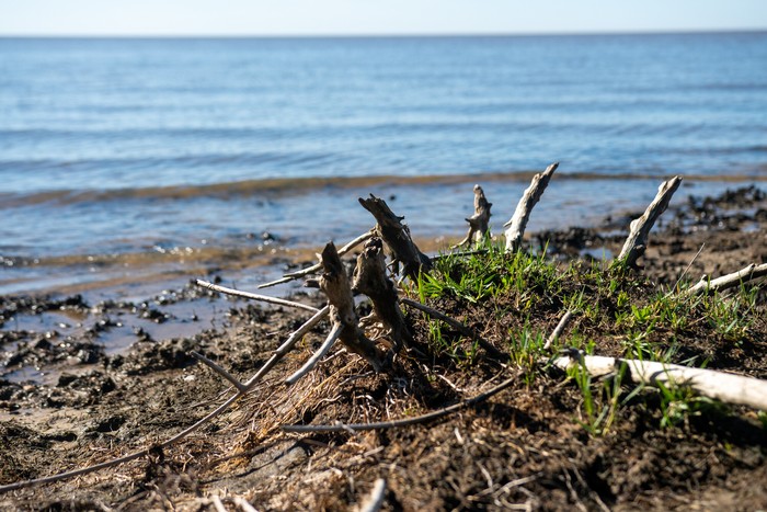 Rio de la Plata. · Foto: Ignacio Dotti