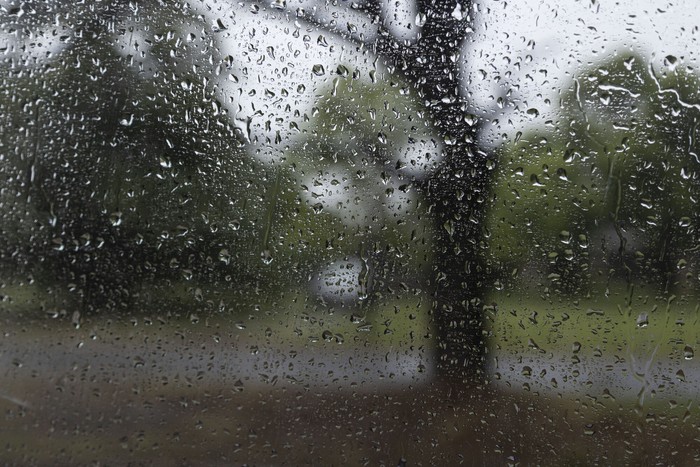 (Archivo). · Foto: Camilo dos Santos