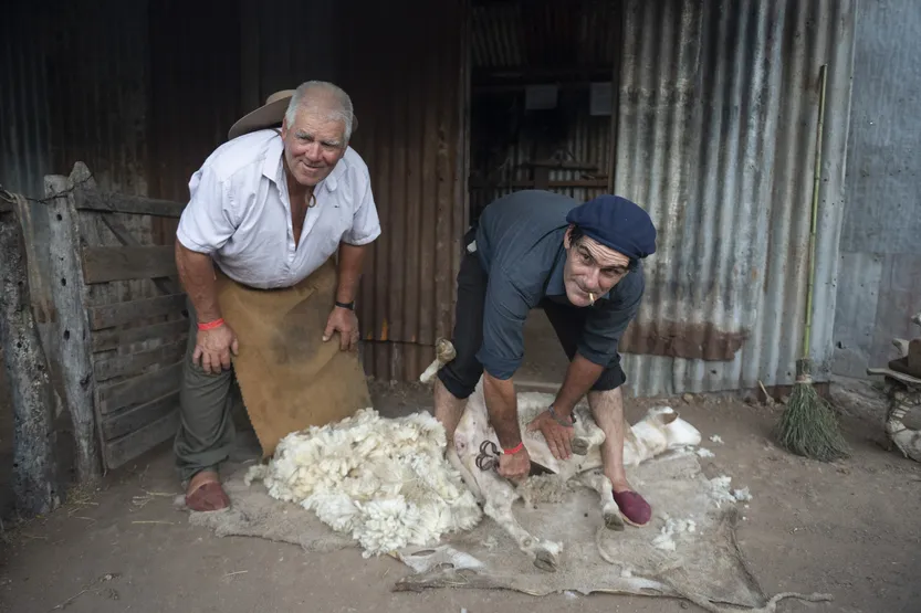 20260312 AGRO Fotorreportaje f2