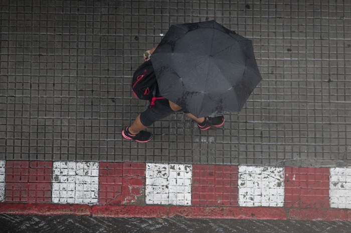 Archivo, marzo de 2024. · Foto: Alessandro Maradei